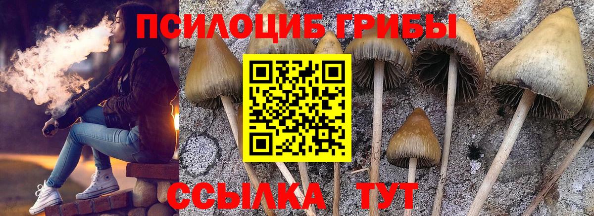 Галлюциногенные грибы мицелий  Псилоцибиновые грибы ЛСД  Вход с VPN  Фрязино 