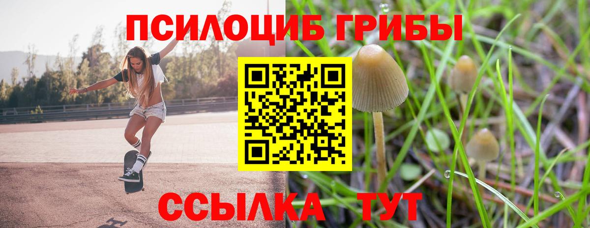 Галлюциногенные грибы Cubensis Фрязино