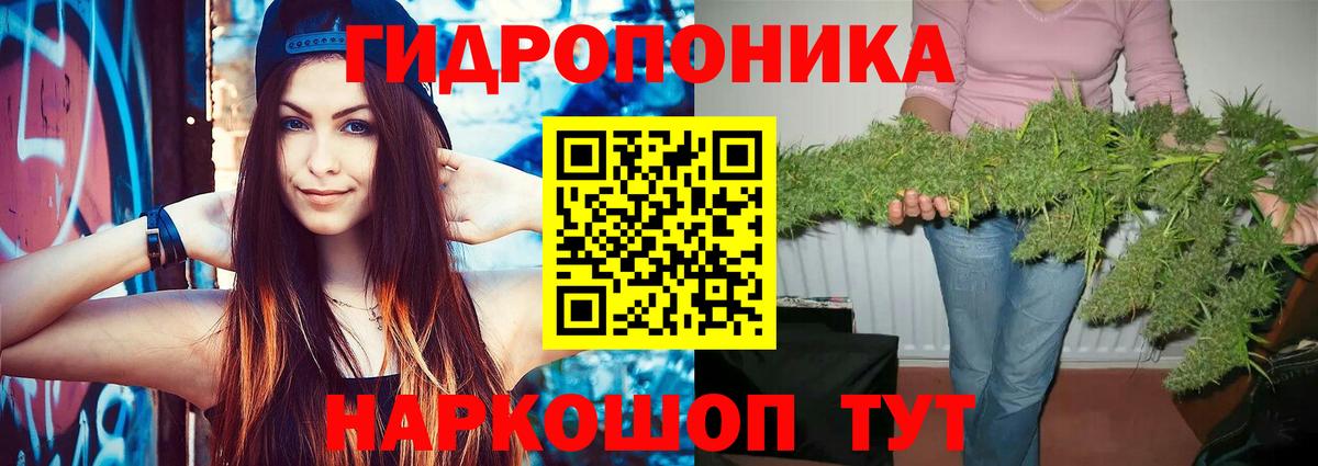 Конопля LSD WEED  Марихуана семена  Марихуана Amnesia  Фрязино  Вход с VPN 